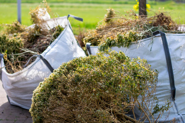 Best Local Junk Hauling  in Dodgeville, WI