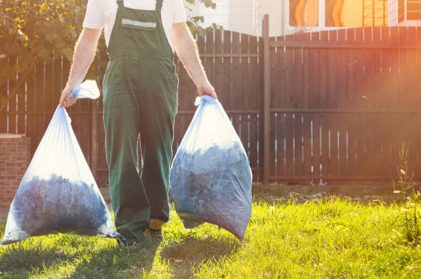 Best Electronics Removal Services  in Dodgeville, WI